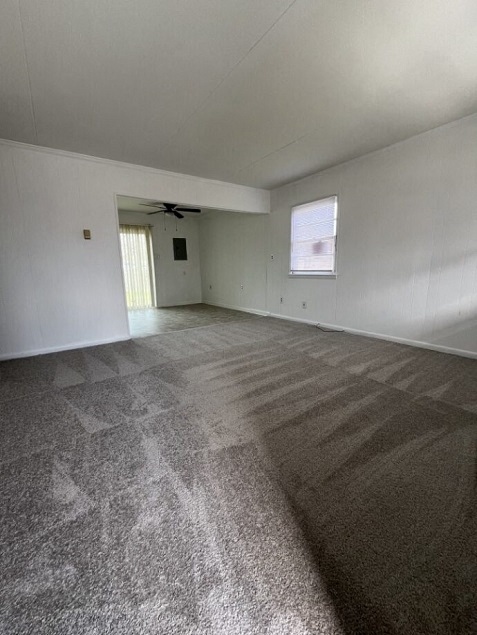 Gallery Photo 2